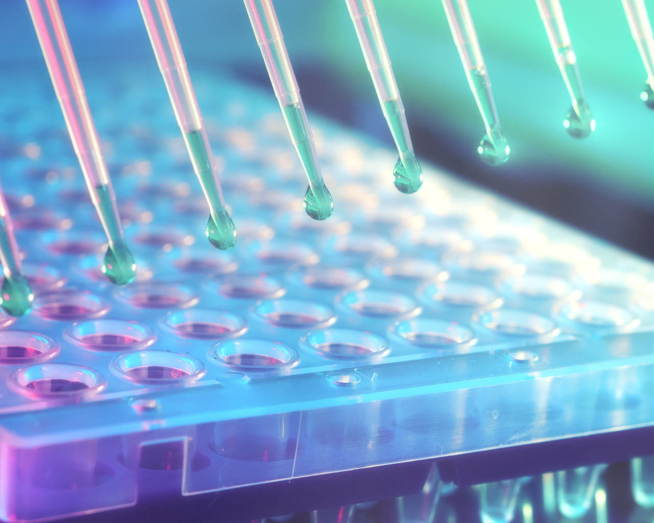 Good Distribution Practice (GDP) in the US: FDA update Drug Supply ...